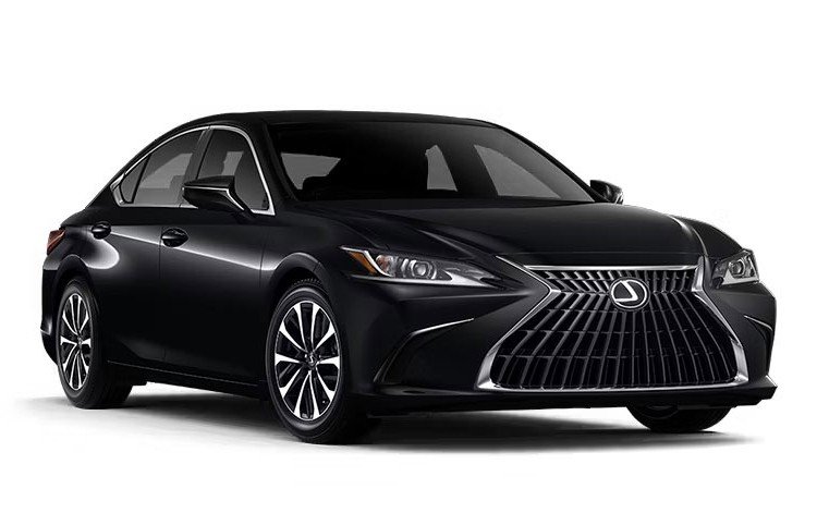 Black Executive MPV5 Car in white Background